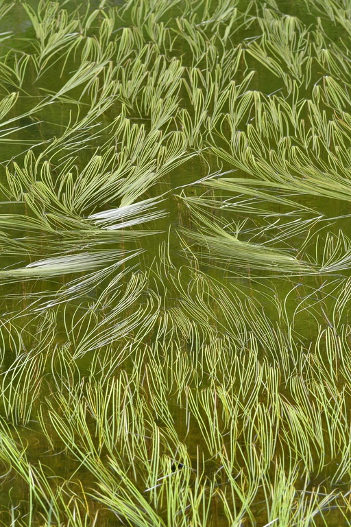 2019-08 Savoie/La Tuile/DSC_1604.JPG